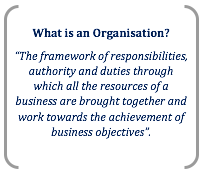 what is an organisation